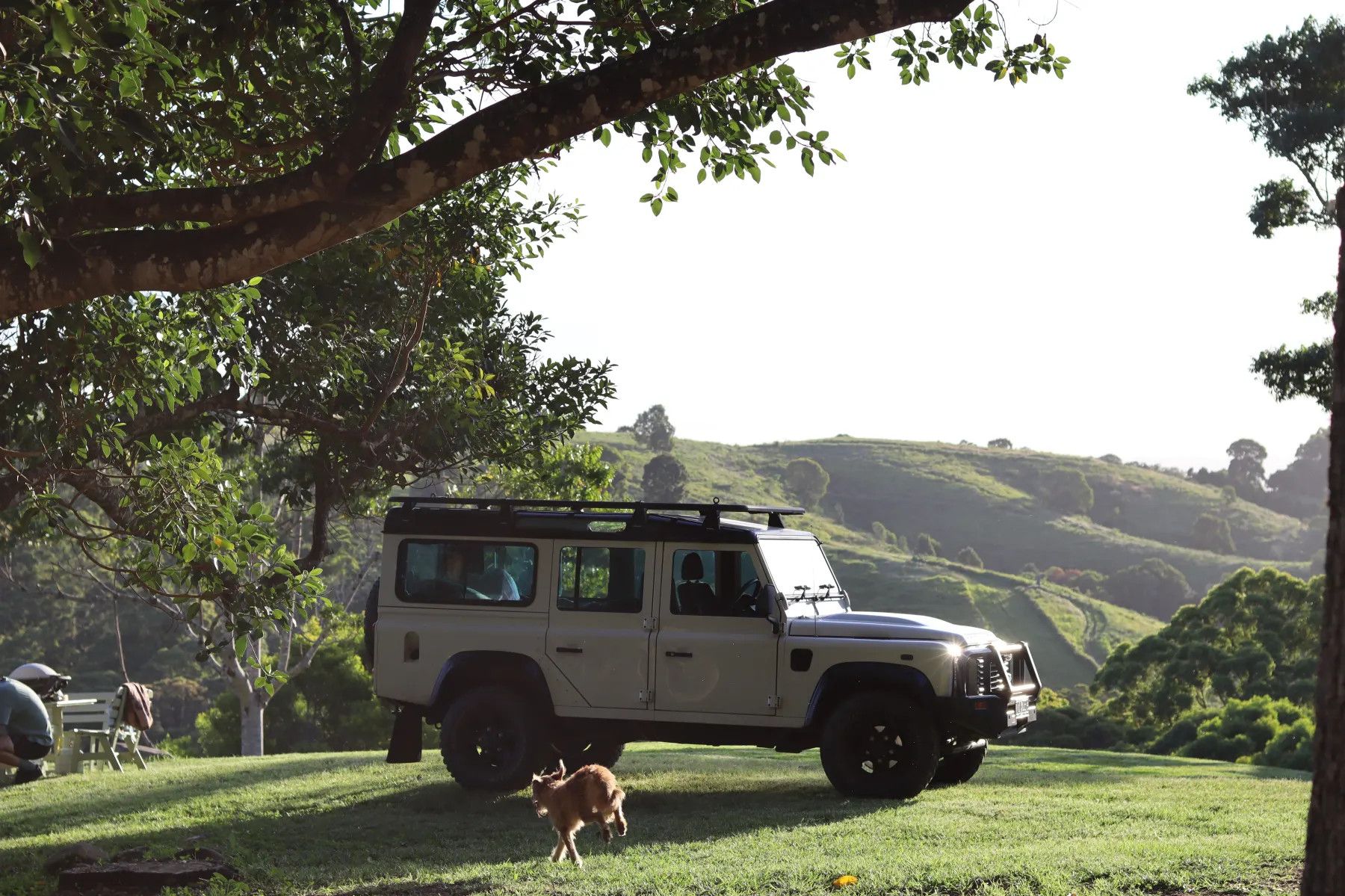 Land Rover Defender in escursione tour in Foresta Umbra a Vieste nel Gargano